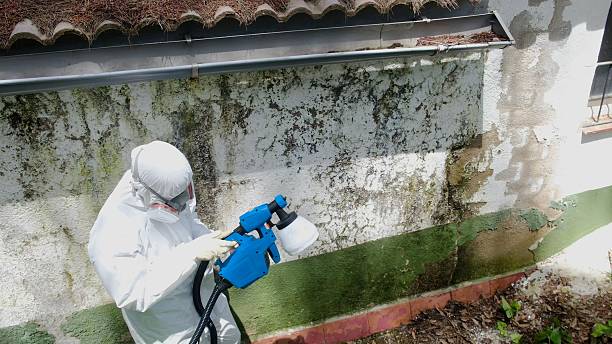Top rated local Mold Remediation specialists in Ephrata, WA